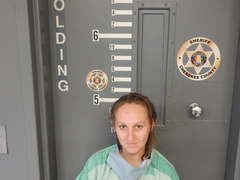 Mugshot of JONES, GINA HEATHER